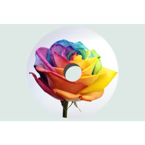 Flower Design Wheelchair Spokeguards