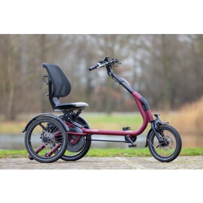 Van Raam Easy Rider Compact Tricycle