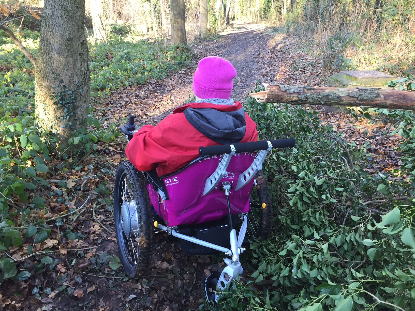 trekinetic-wheelchair-woodlands